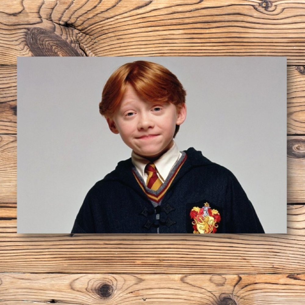 Harry Potter Ron Weasley Refrigerator Locker Fridge Magnet